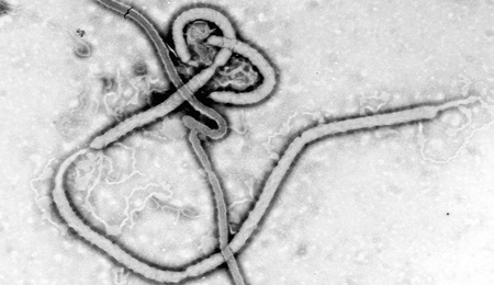 ebola.jpg