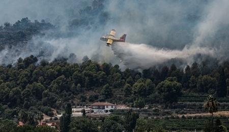 mid-epa13133816.jpg