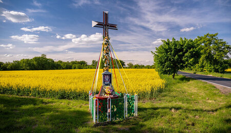 AdobeStock_1487919254_Patryk-Michalski_800x460.jpg
