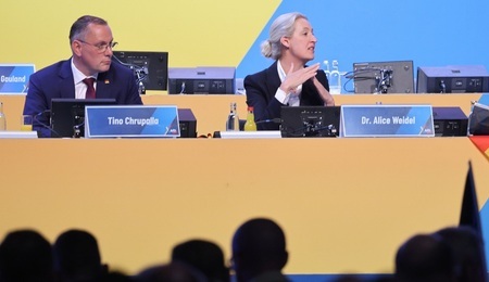 Weidel Chrupalla.jpg