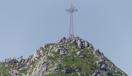 forum-0621403950.jpg