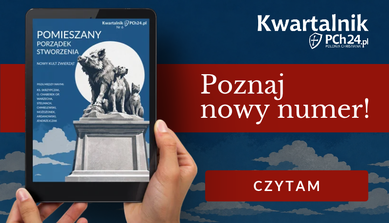 ilustracja_kwartalnik_6_800x460